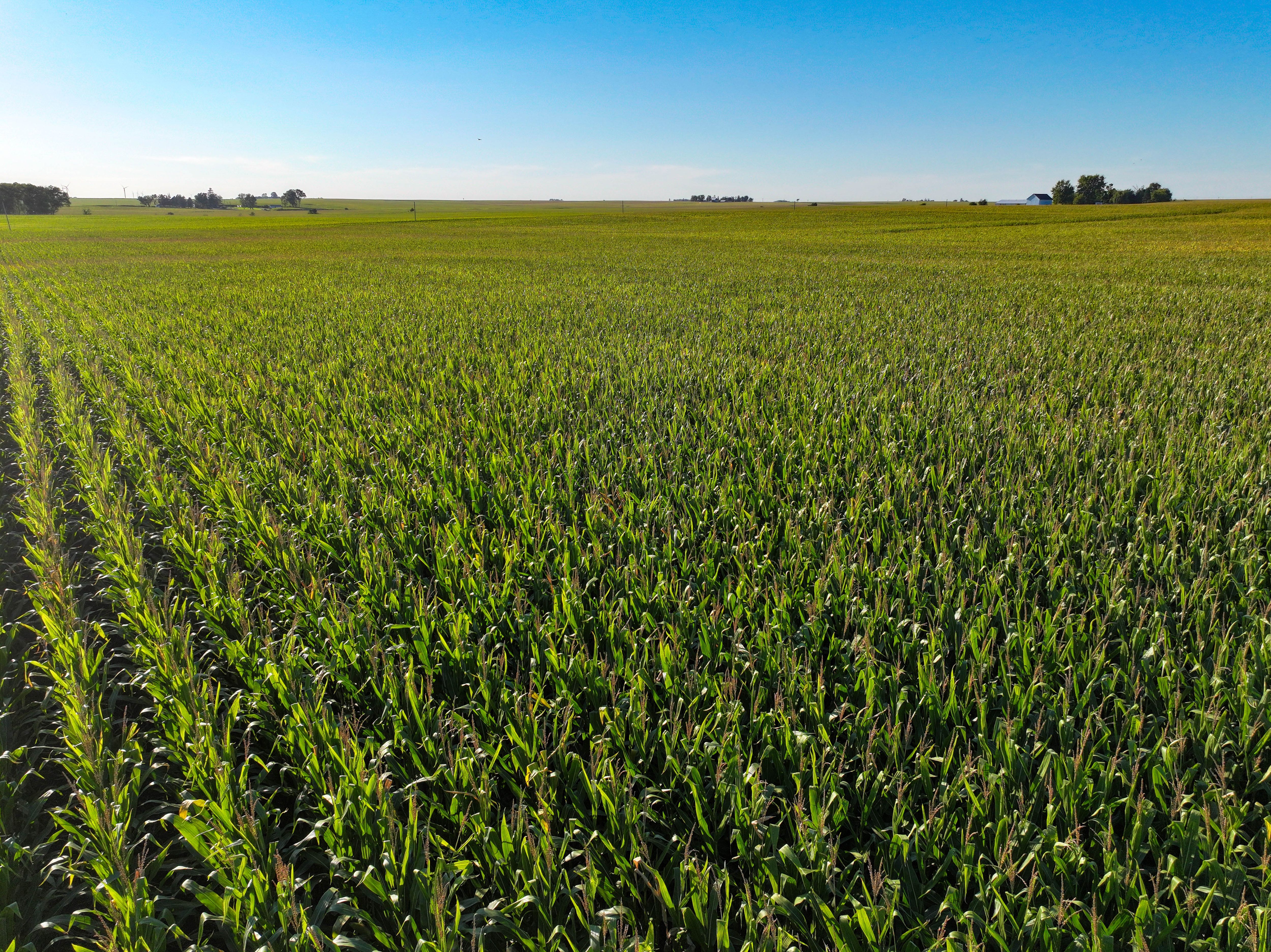 Listing Photo: 26-NEIA Land For Sale